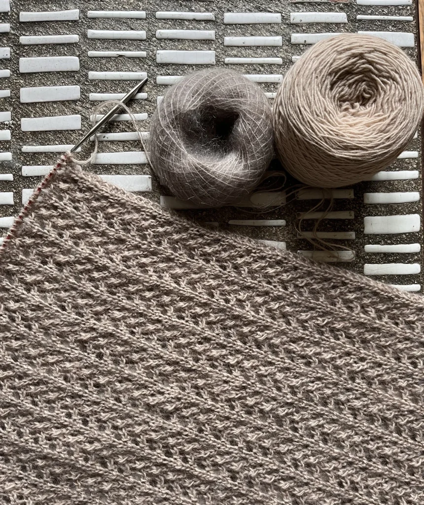 Projet Tricot teinture végétale